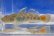 画像12: オウミヨシノボリ　（トウヨシノボリ：小）　琵琶湖水系産