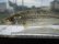 画像6: ホンモロコ　（やや大）　琵琶湖水系産　３匹セット
