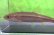 画像2: ウグイ　（約8〜9cm）　兵庫日本海側産 (2)