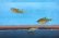 画像2: ニッポンバラタナゴ　（小）　３匹 (2)