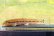 画像2: ヤマトシマドジョウ　（やや中）　福岡産　３匹セット