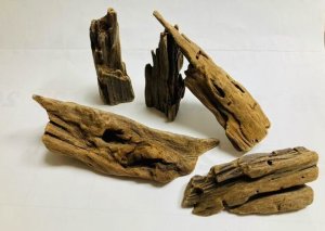 画像1: 流木　（小：熱処理済）　アソートパック　