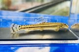 チュウガタスジシマドジョウ　（小）　香川産　２匹