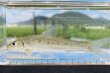 画像12: コウライニゴイ　（約8〜9cm）　三重琵琶淀川水系産