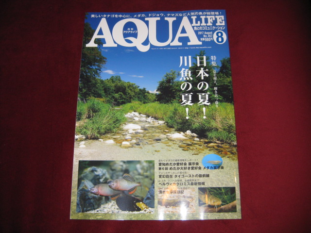 画像: ３年ぶりの日淡特集！　アクアライフ８月号　リバースケッチが協力させていただきました。