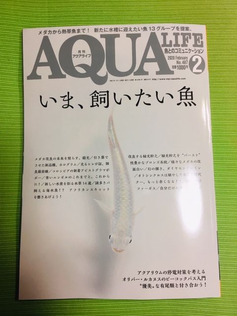 画像: 月刊アクアライフ２月号、魚を提供いたしました。