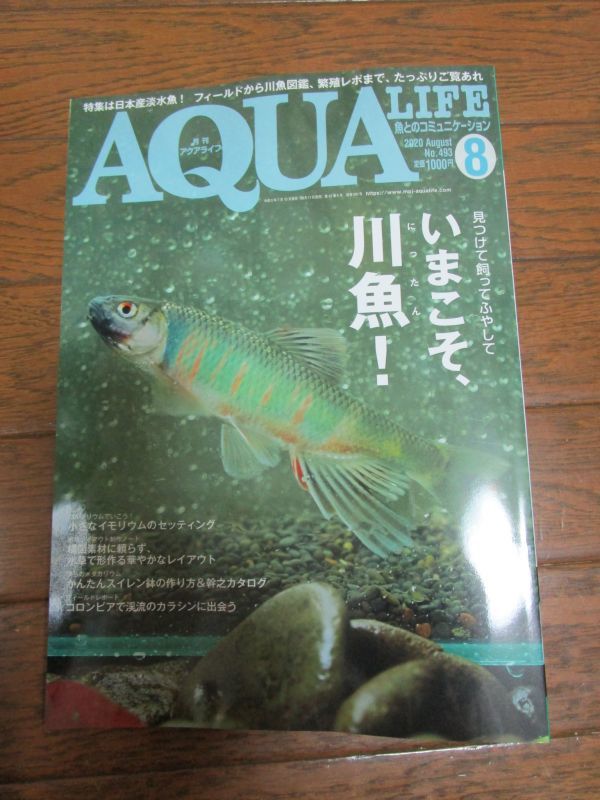 画像: 月刊アクアライフ８月号、魚を提供いたしました。