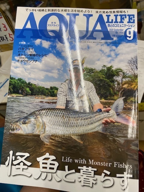 画像: 月刊アクアライフ９月号に魚を提供いたしました。 