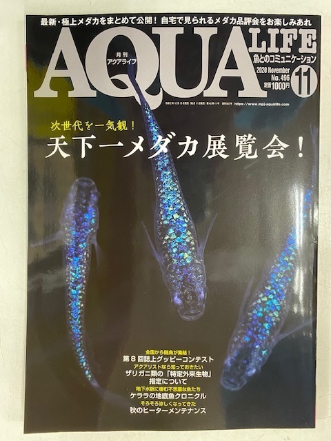 画像: 月刊アクアライフ１１月号に魚を提供いたしました。 