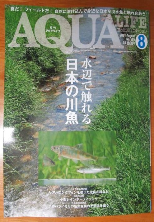 画像: 月刊アクアライフ８月号「日淡特集」に協力させていただきました。